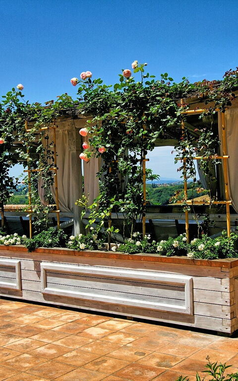 Villa Petrognano: Ansichten, Draussen, Schwimmbad