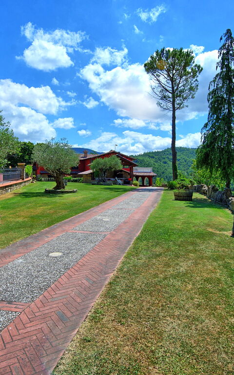 Villa Contessa: Garten