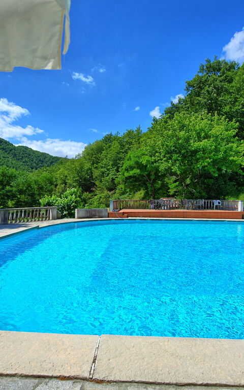 Villa Contessa: Schwimmbad