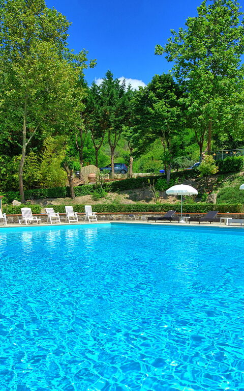 Villa Contessa: Schwimmbad