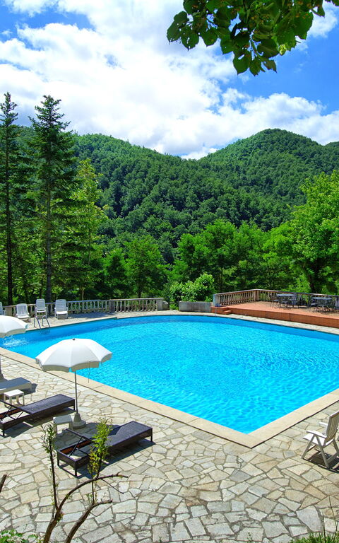 Villa Contessa: Garten, Schwimmbad