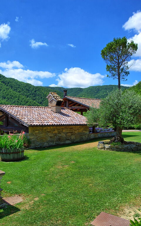 Villa Contessa: Garten