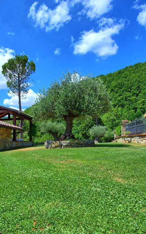Villa Contessa: Garten