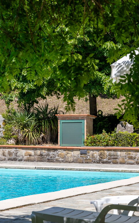 Villa Contessa: Draussen, Garten, Schwimmbad