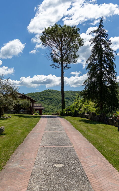Villa Contessa: Ansichten, Draussen, Garten