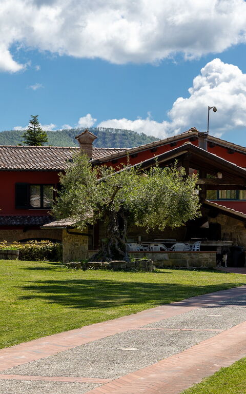 Villa Contessa: Außen, Draussen, Garten