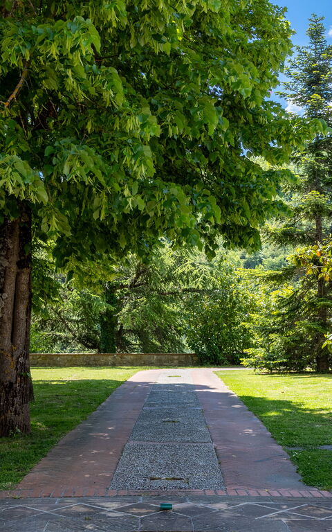 Villa Contessa: Draussen, Garten