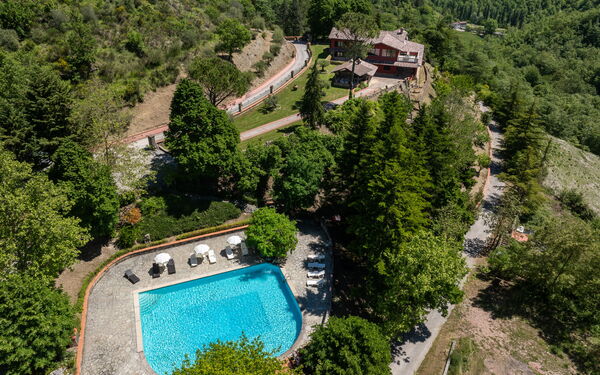 Villa Contessa: Schwimmbad