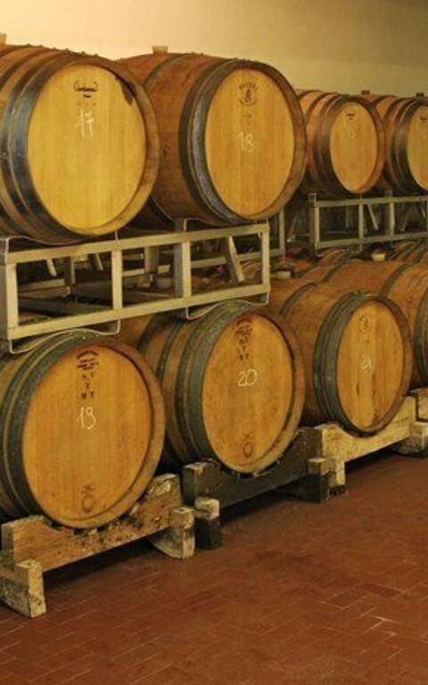 La Selva: Einrichtungen