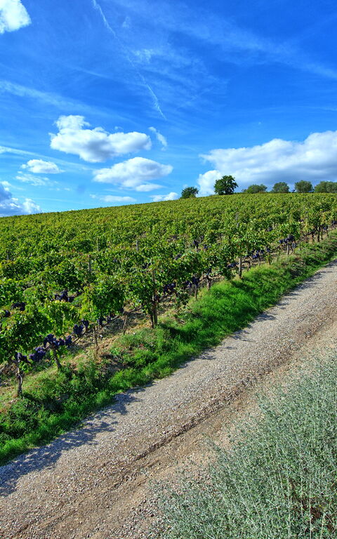 Brunello: Ansichten, Draussen