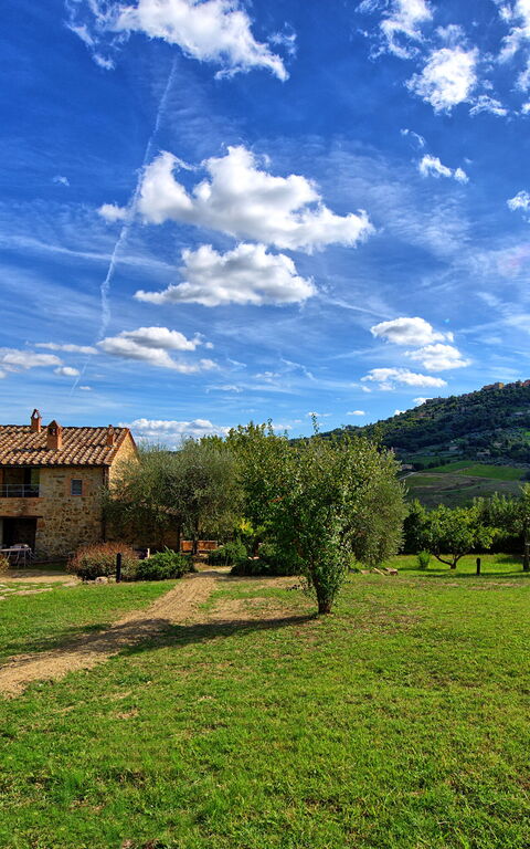 Brunello: Garten