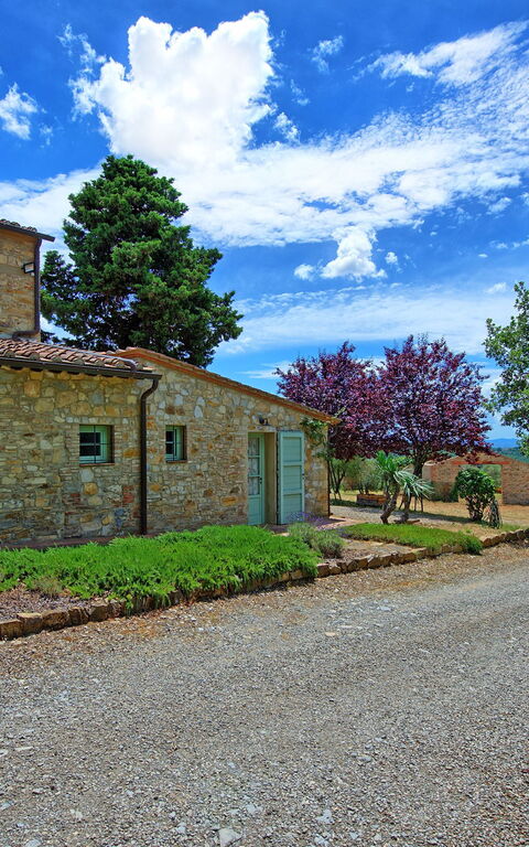 San Donato: Draussen, Garten
