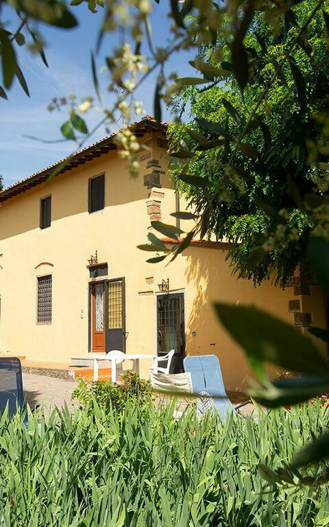 Le Vasche: Draussen, Garten