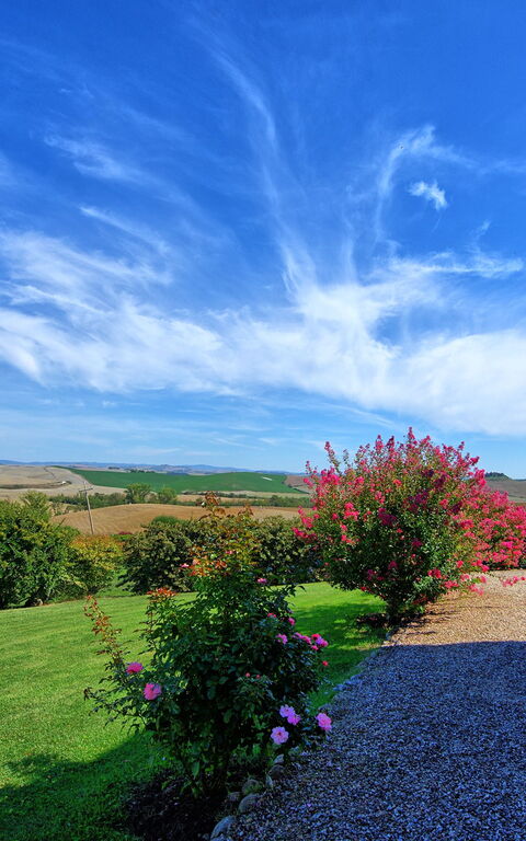 San Donnino: Draussen, Garten