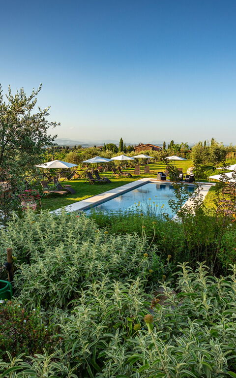 Villa Amadeo: Ansichten, Außen, Draussen, Garten, Schwimmbad