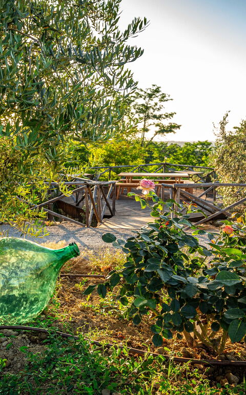 Villa Amadeo: Außen, Draussen, Garten