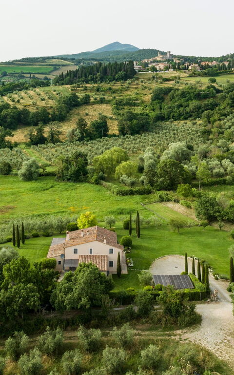 Villa Danilo: Ansichten, Außen, Draussen, Garten