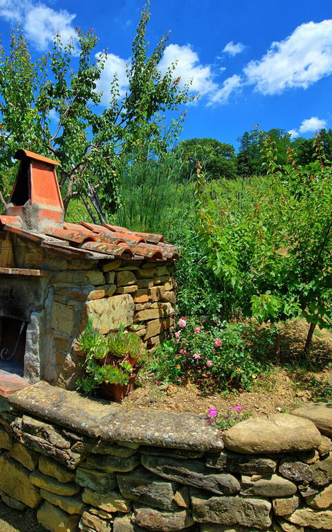 Villa Lo Scoiattolo: Draussen, Garten