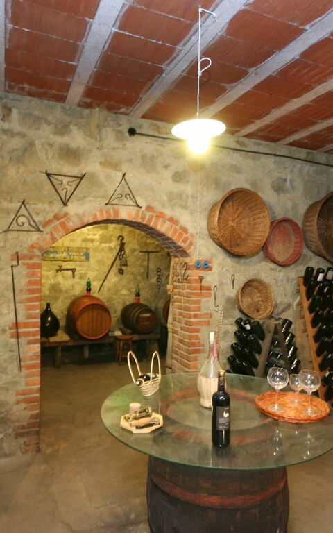 Villa Lo Scoiattolo: Aktivitäten