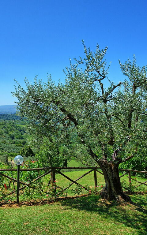 Casa Lucia: Ansichten