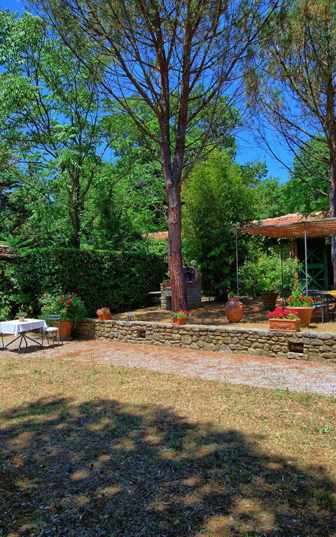 Villa Elisa: Garten