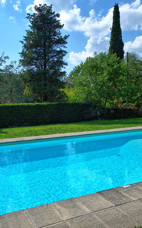 Villa Elisa: Schwimmbad
