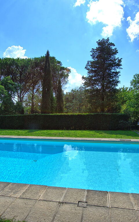 Villa Elisa: Schwimmbad
