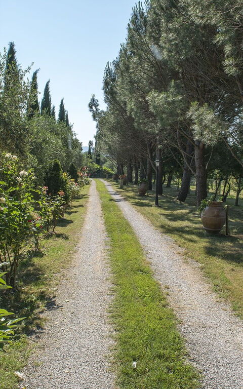 Villa Elisa: Garten