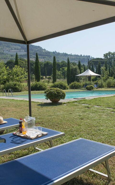 Villa Elisa: Garten