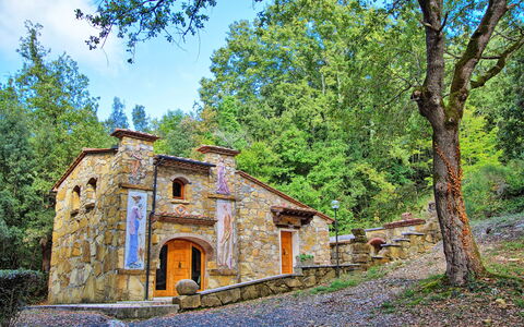 Unterkunft Adamo Ed Eva: Außen, Garten