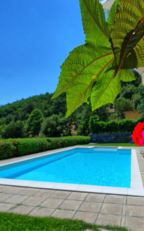 Il Salice: Schwimmbad