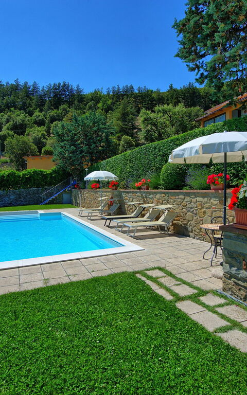 Il Salice: Garten, Schwimmbad