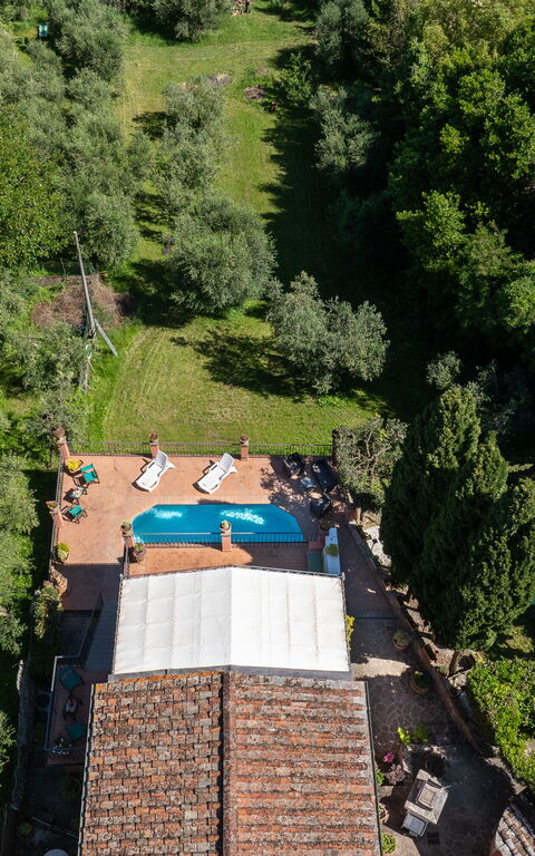Casa Vania: Draussen