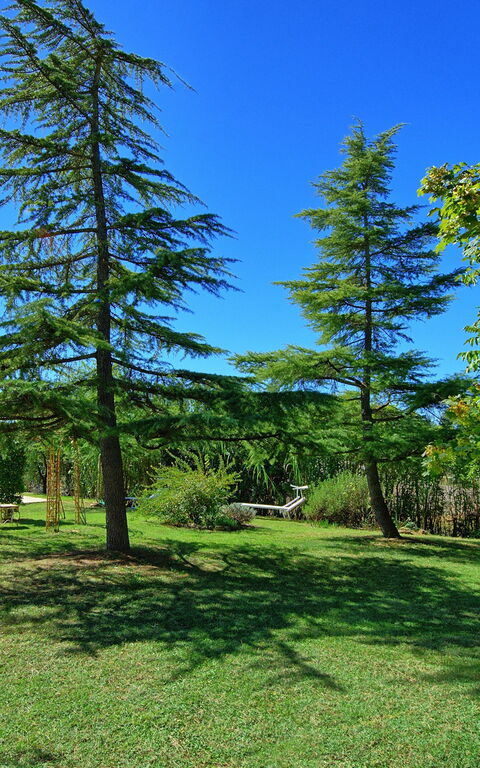 Casa Cipressi: Garten