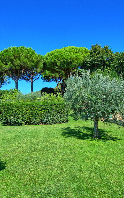Villa Le Murate: Garten