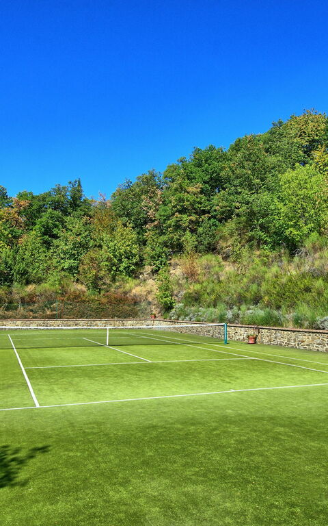 Gellino: Aktivitäten