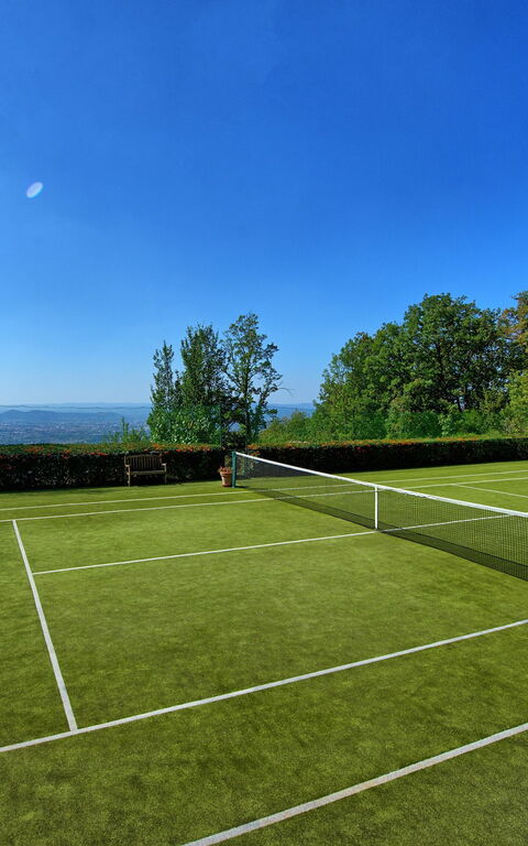 Gellino: Aktivitäten