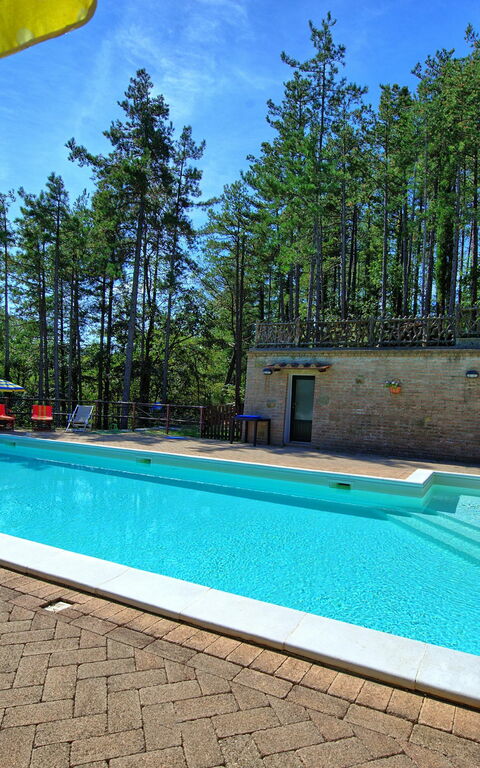 Villa Lorenzo: Schwimmbad