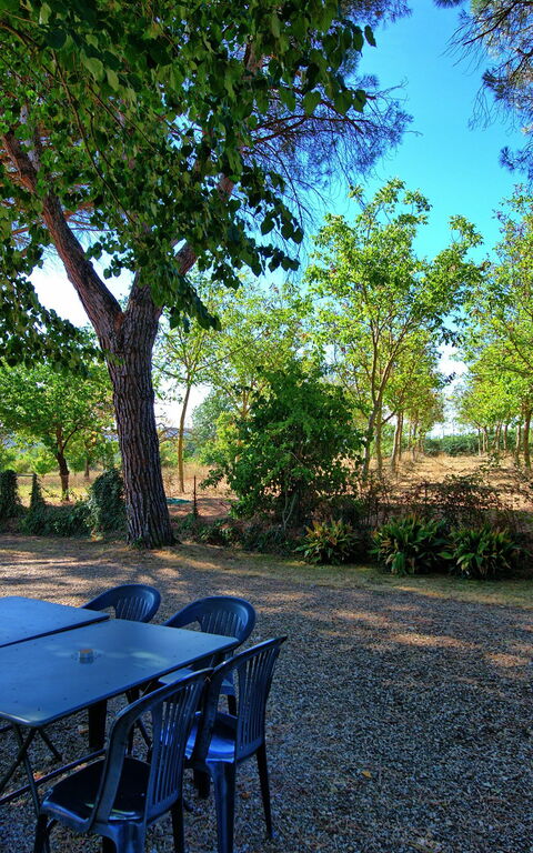 Casale Ambra: Garten