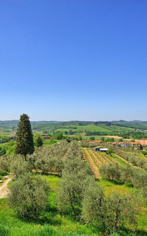 Villa Roberto: Draussen