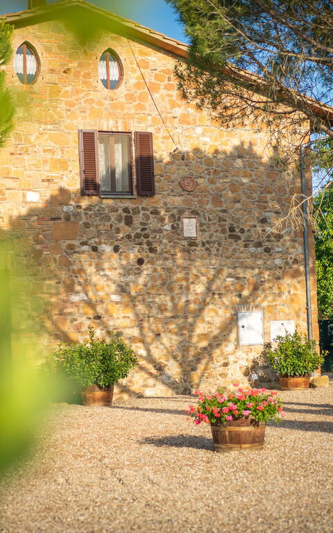 Villa Cassia: Draussen, Garten