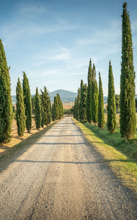 Villa Cassia: Ansichten, Draussen
