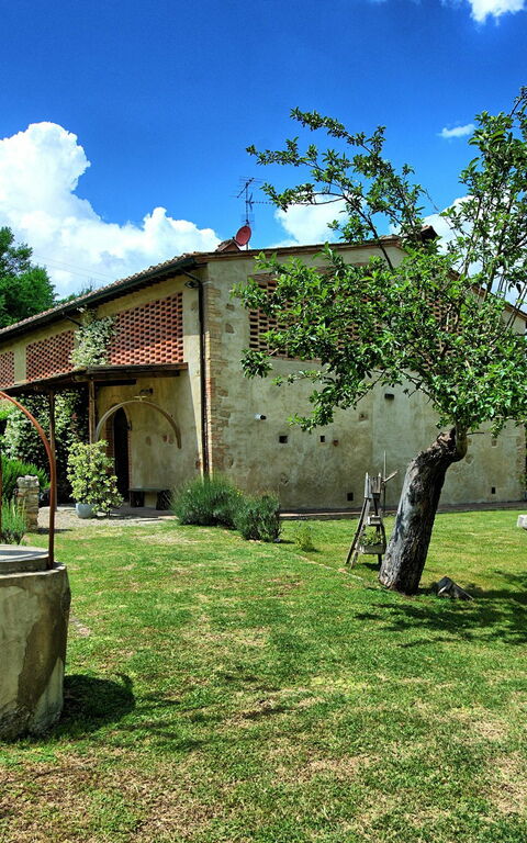 Villa Diletta: Garten