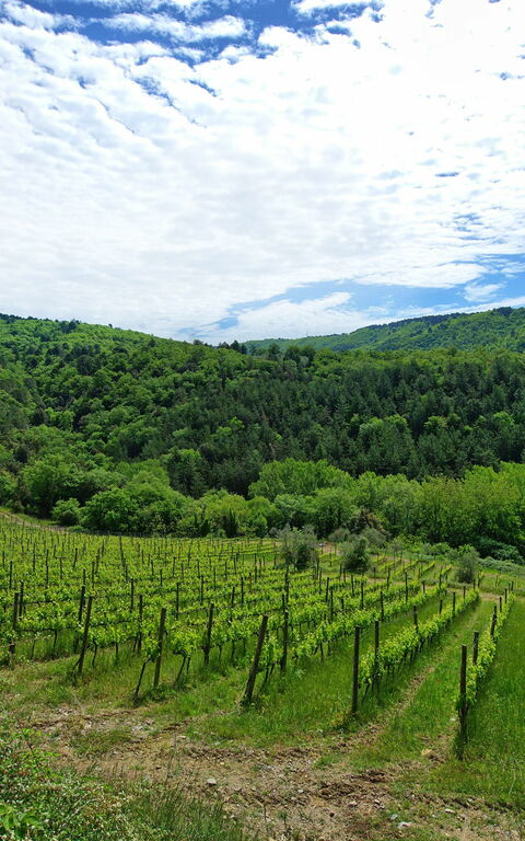 Villa Barbischio: Ansichten