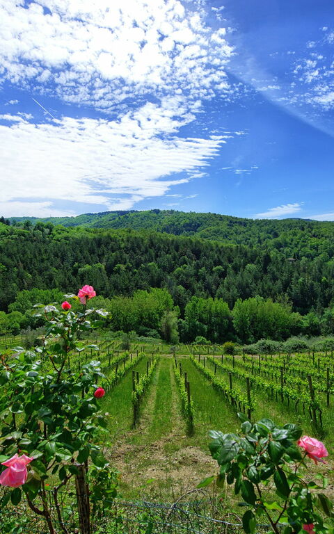 Villa Barbischio: Ansichten