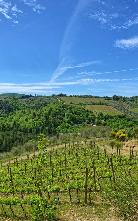 Villa Barbischio: Ansichten