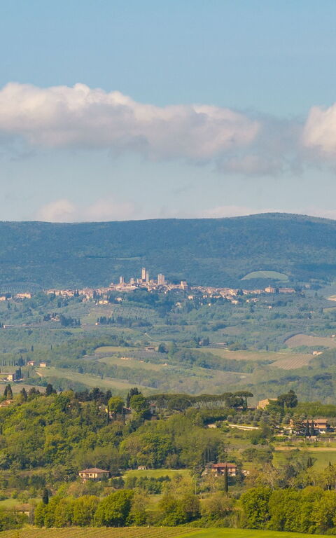 Villa Ferdinando: Draussen