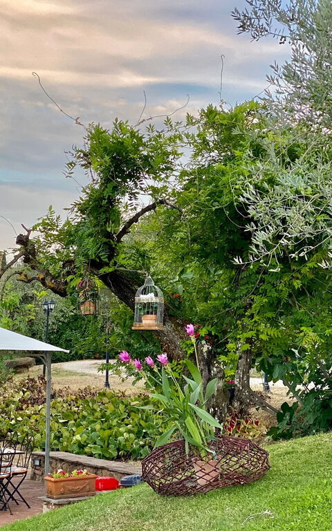 Villa Ulivi: Ansichten, Draussen, Garten