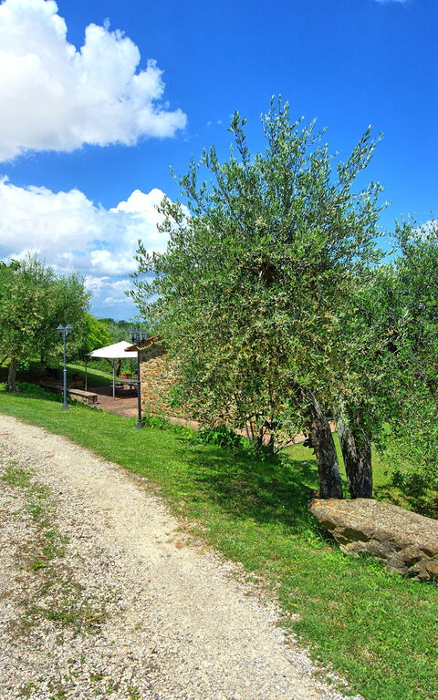 Villa Ulivi: Außen, Draussen, Garten