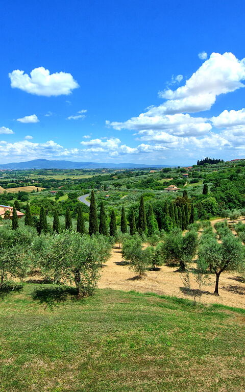 Villa Ulivi: Ansichten, Draussen, Sommer